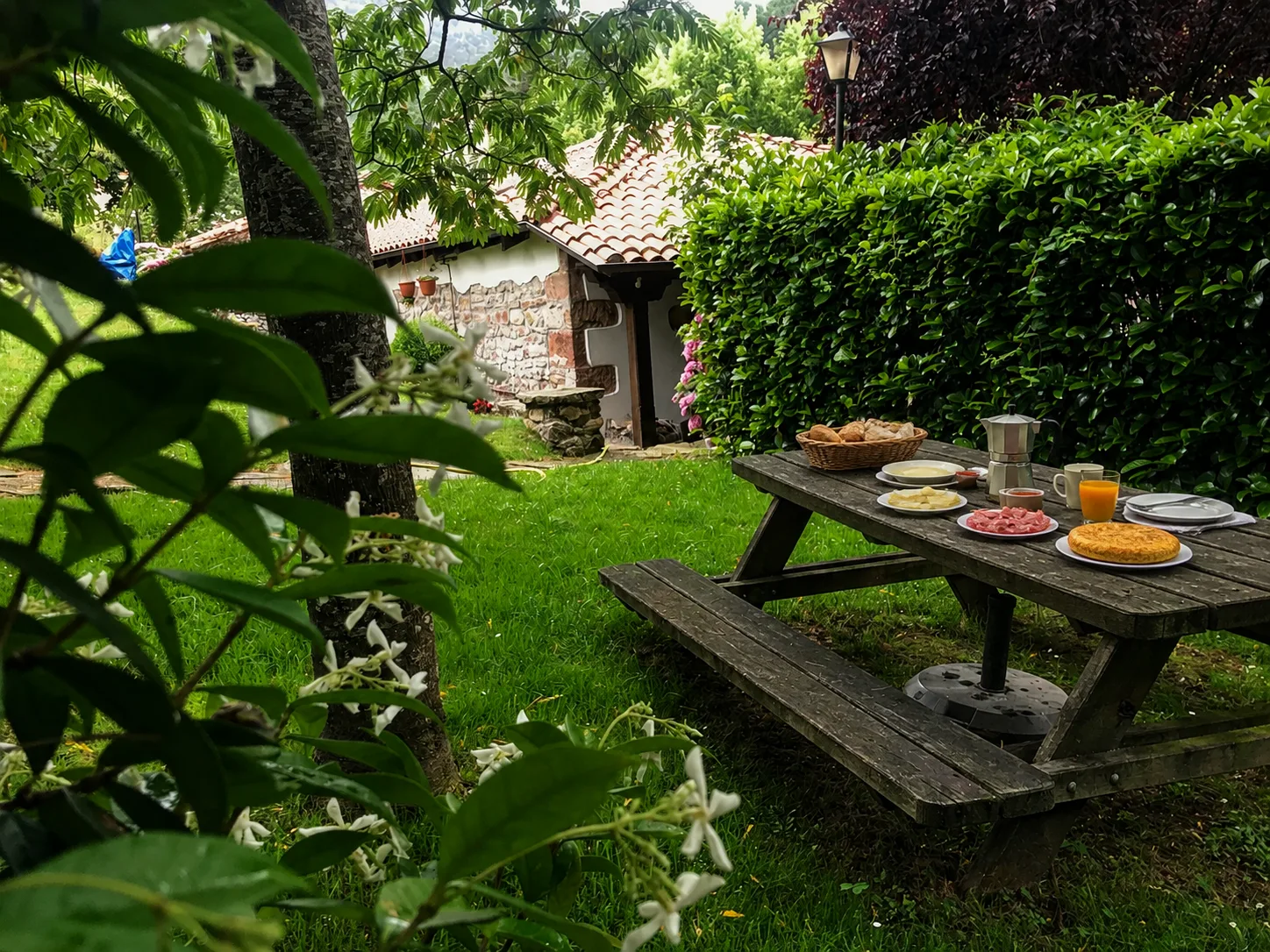 Desayuno en el jardín